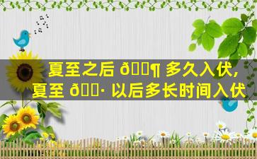 夏至之后 🐶 多久入伏,夏至 🕷 以后多长时间入伏